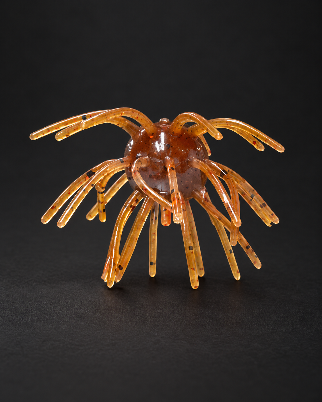 Rusty Craw Urchin