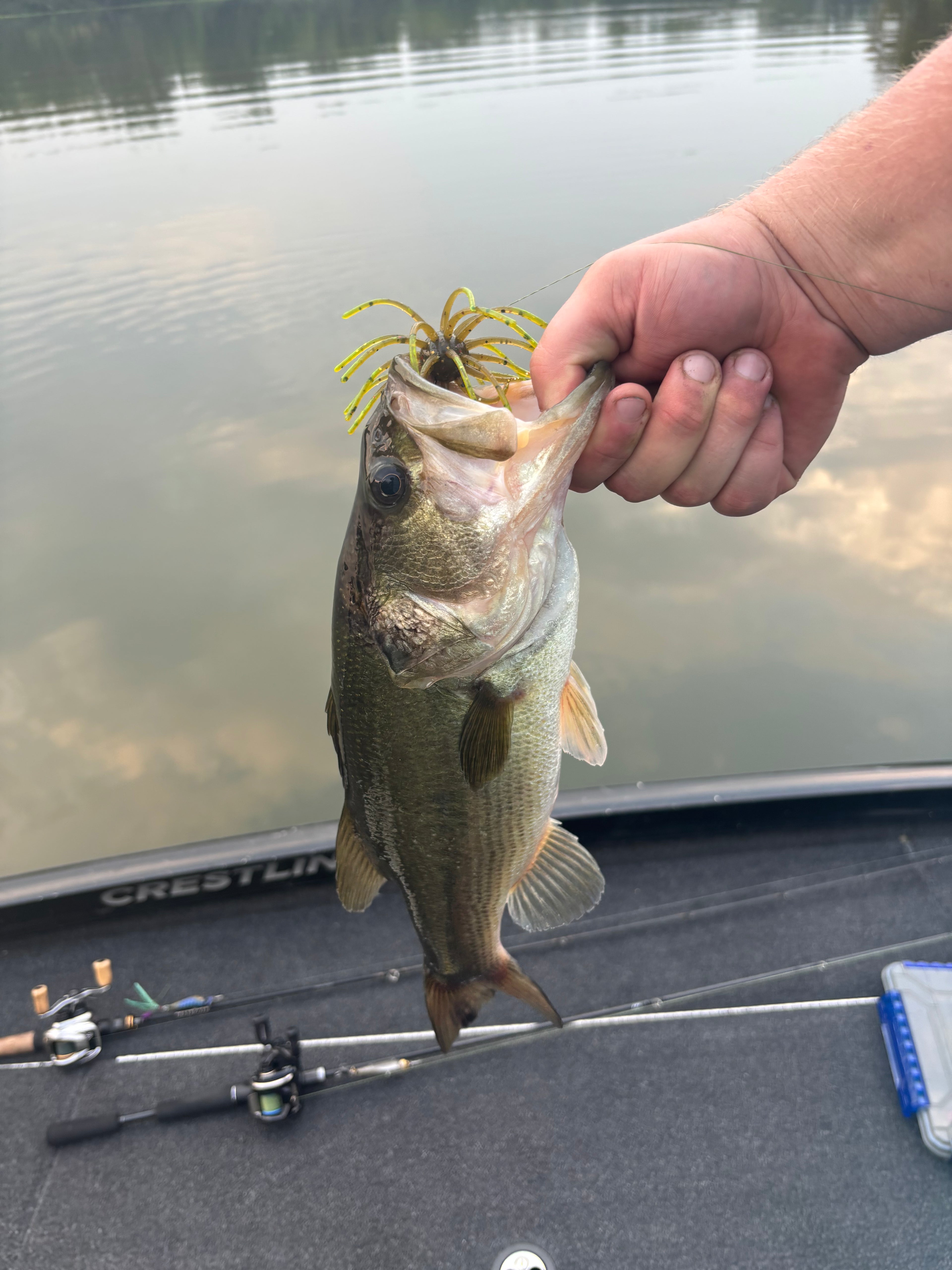 A hand holding a freshly caught largemouth bass over a boat deck, with a yellow and green paddle tail swimbait in its mouth. Fishing rods and a blue case are visible on the gray deck, with calm water and trees reflected in the background.