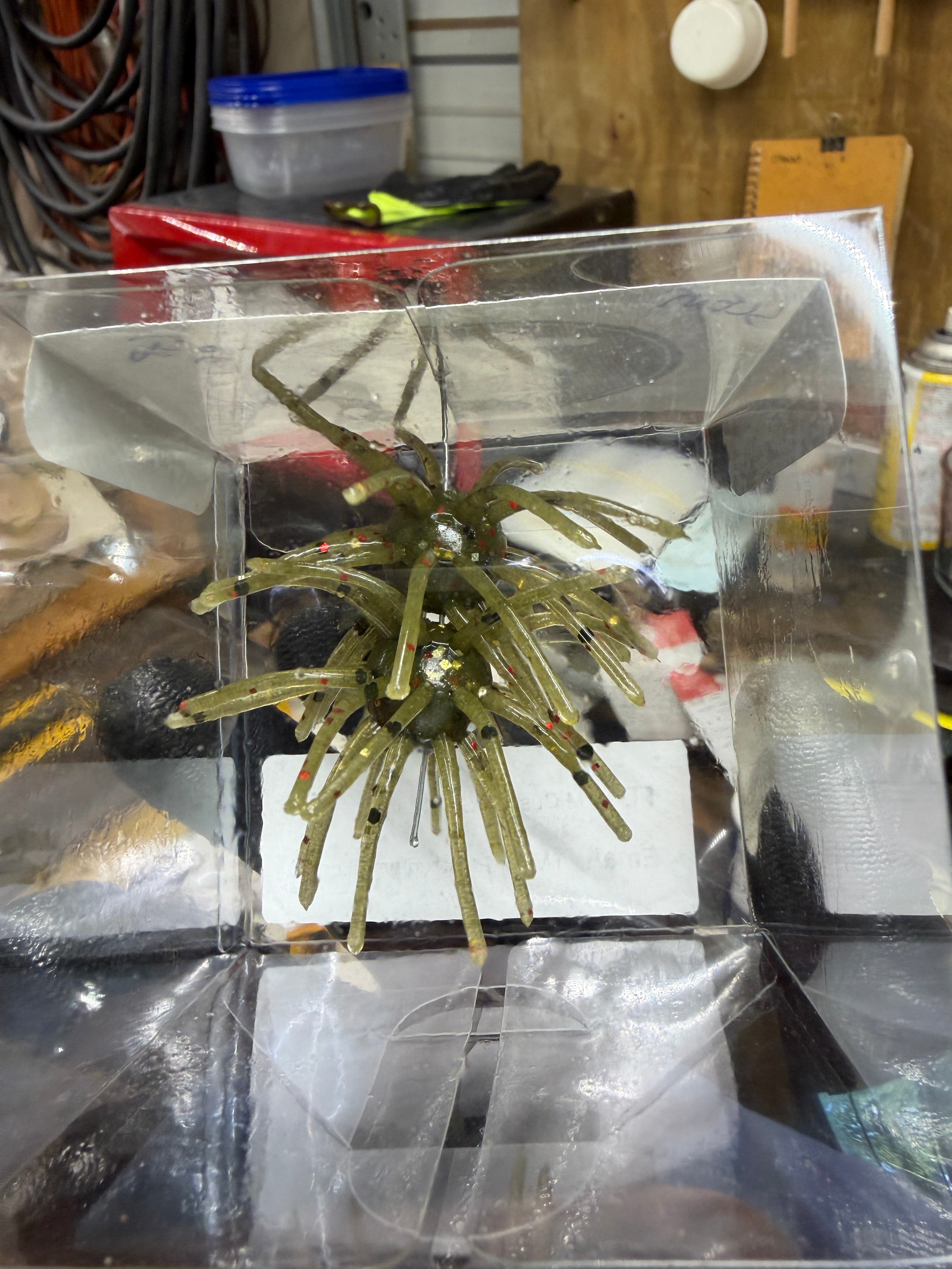Green Pumpkin Red Flake Urchin