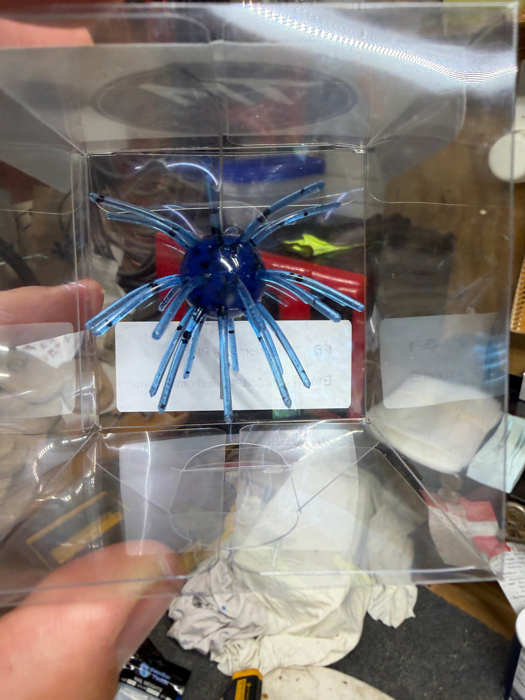 Candy Blue Urchin – 3/4" Ball | 2.5" Leg Span