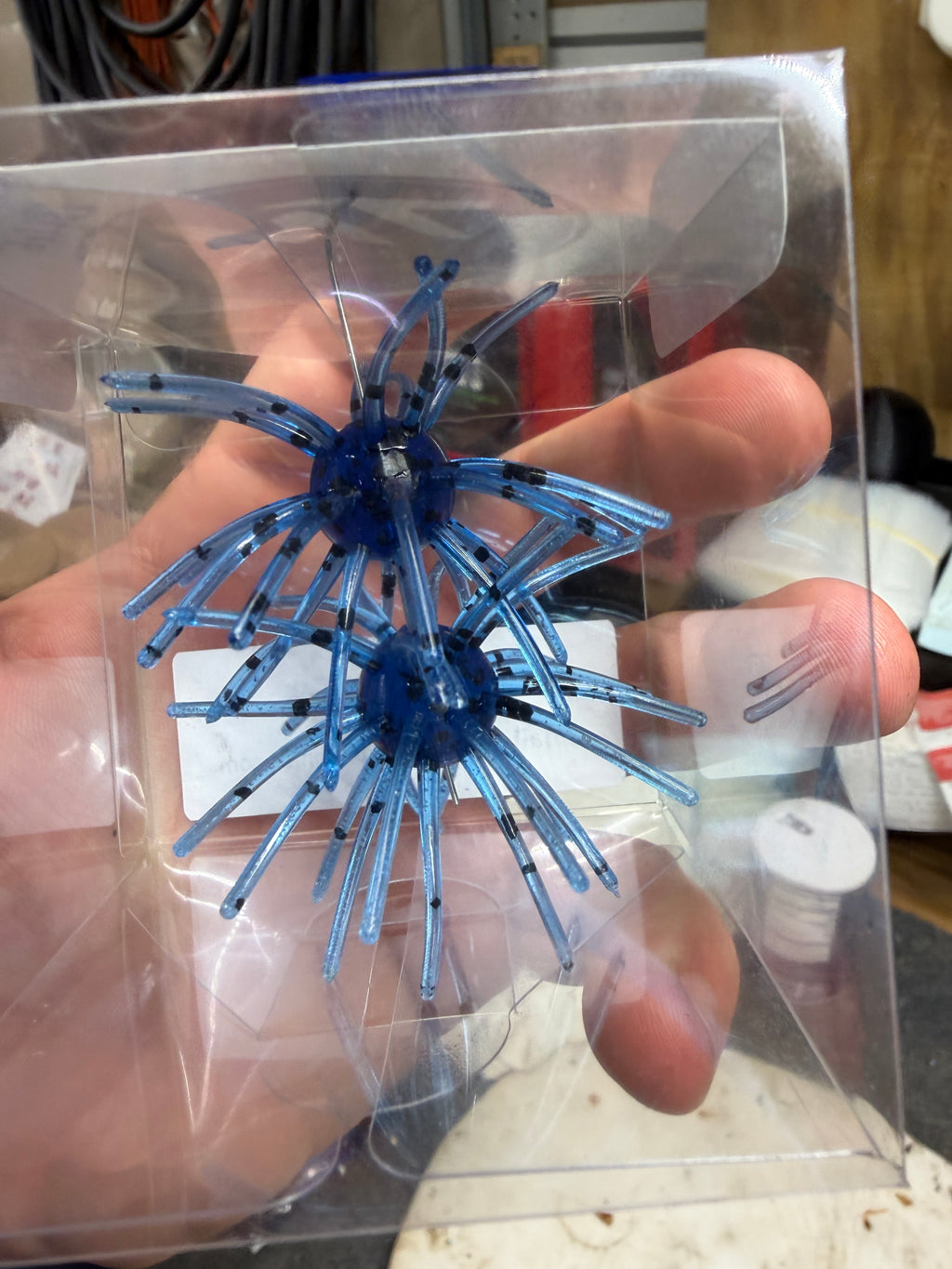 Candy Blue Urchin – 5/8" Ball | 2.5" Leg Span