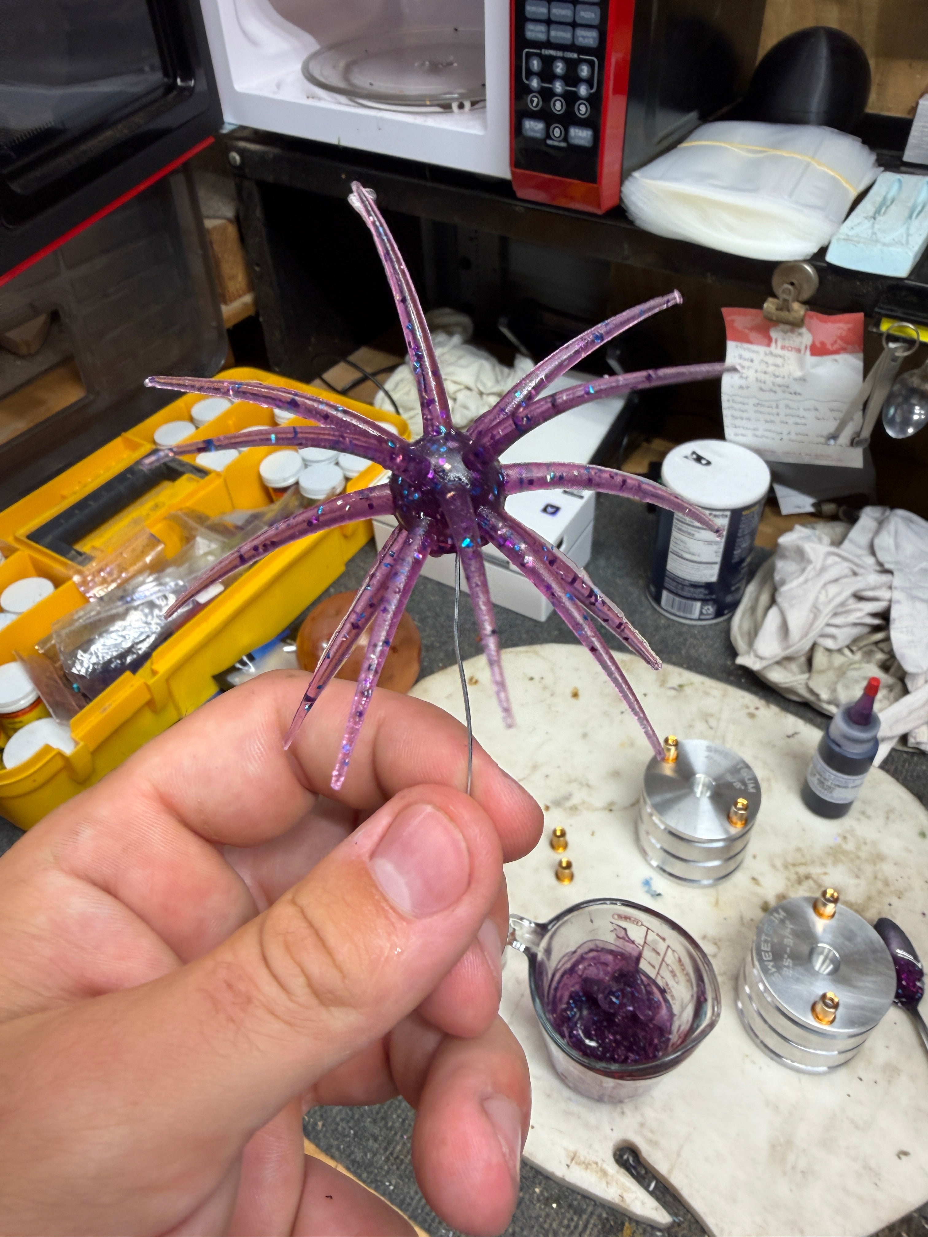 Purple Disco Urchin