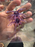 Purple Disco Urchin – 5/8" Ball | 2.5" Leg Span