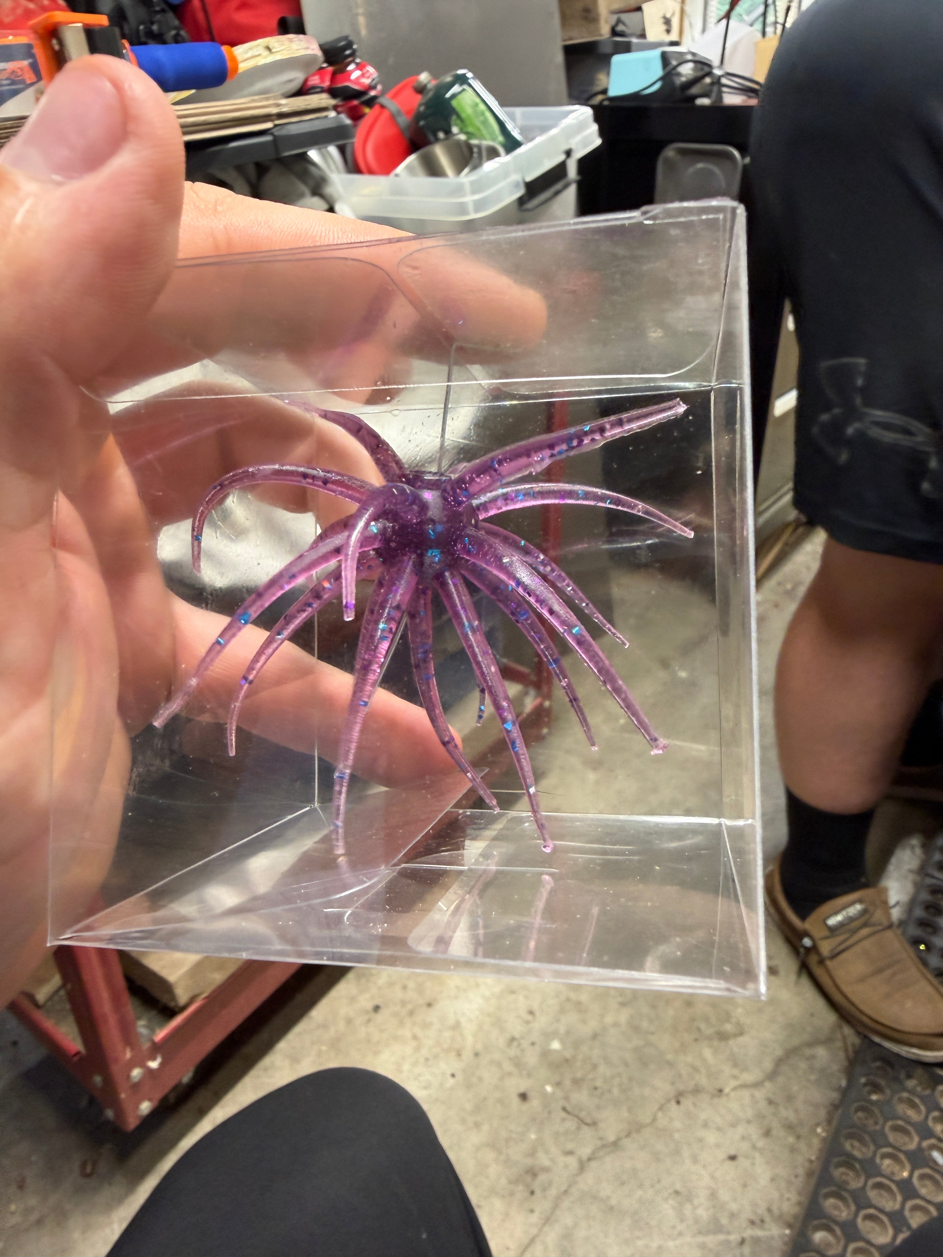 Purple Disco Urchin – 4"