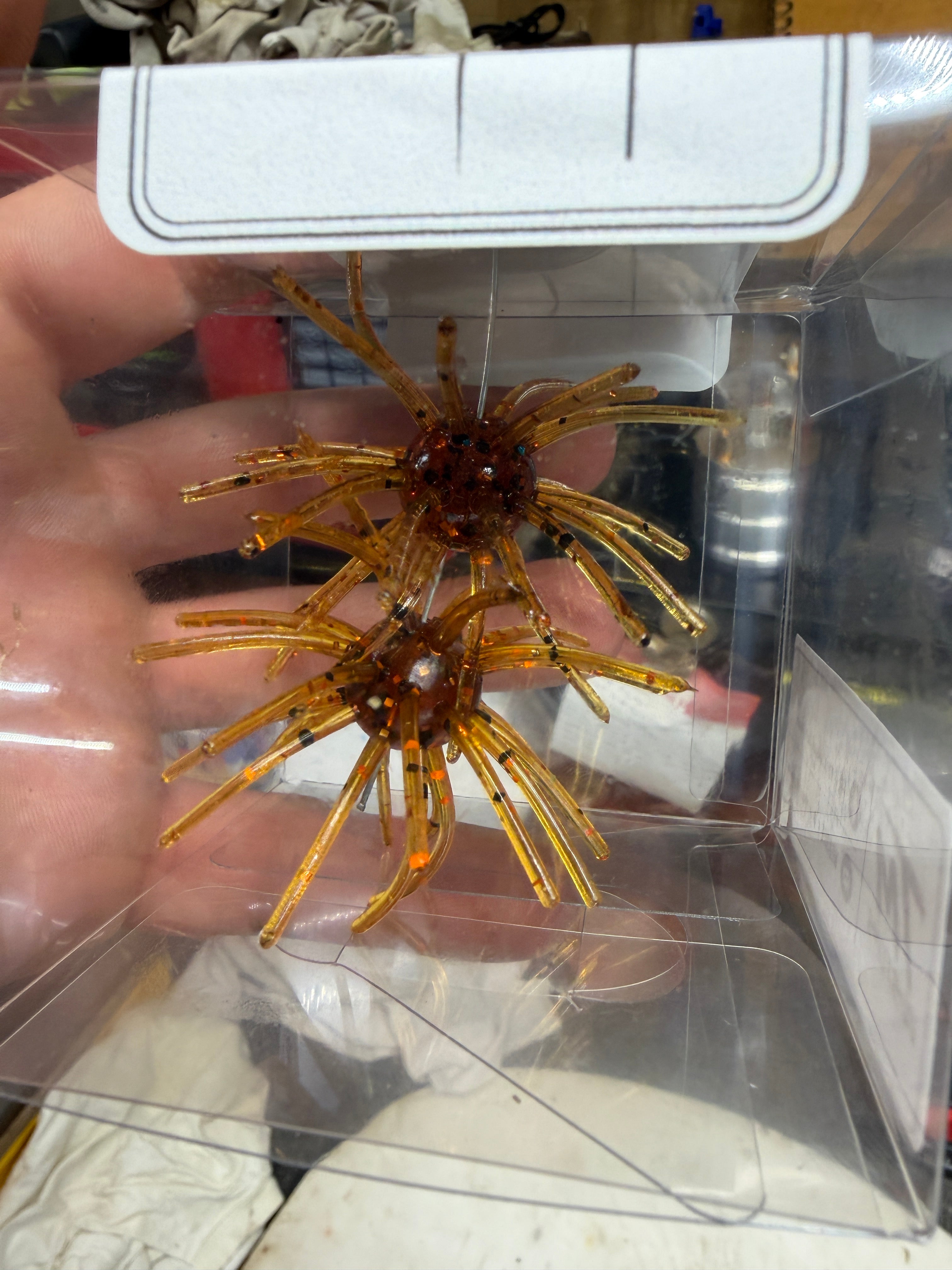 Sweet Honey Urchin – 5/8" Ball | 2.5" Leg Span