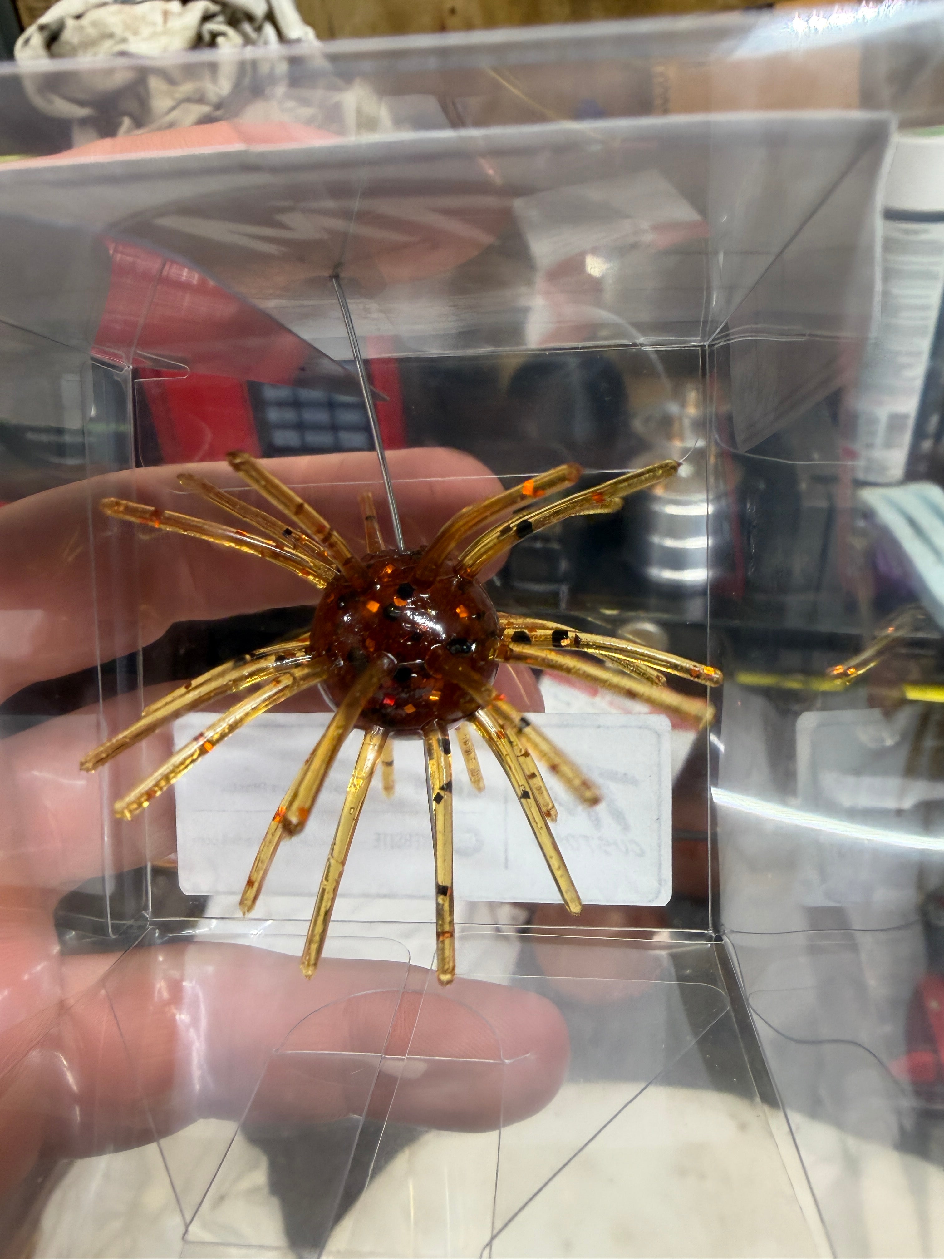 Sweet Honey Urchin – 3/4" Ball | 2.5" Leg Span