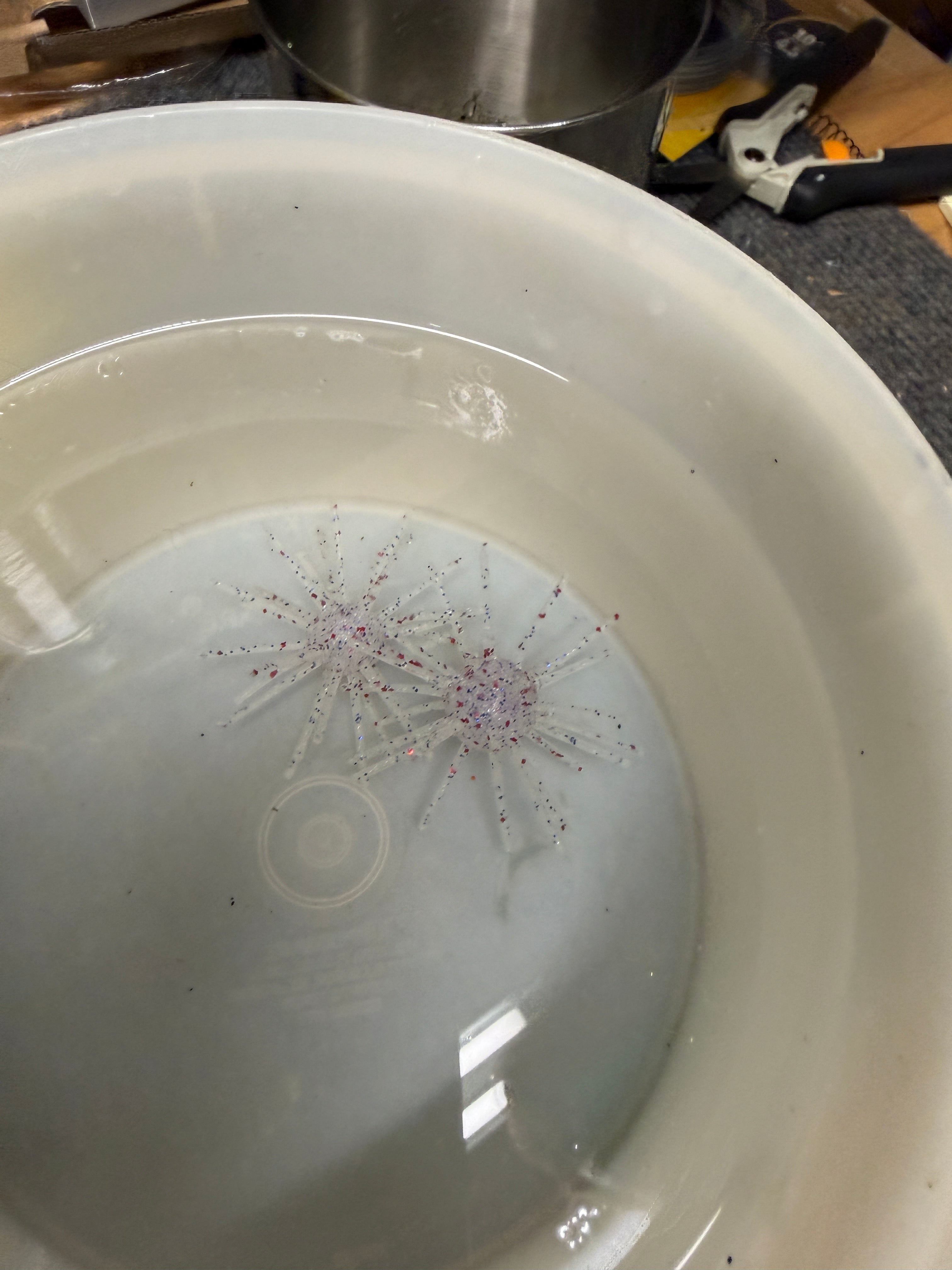 USA Urchin