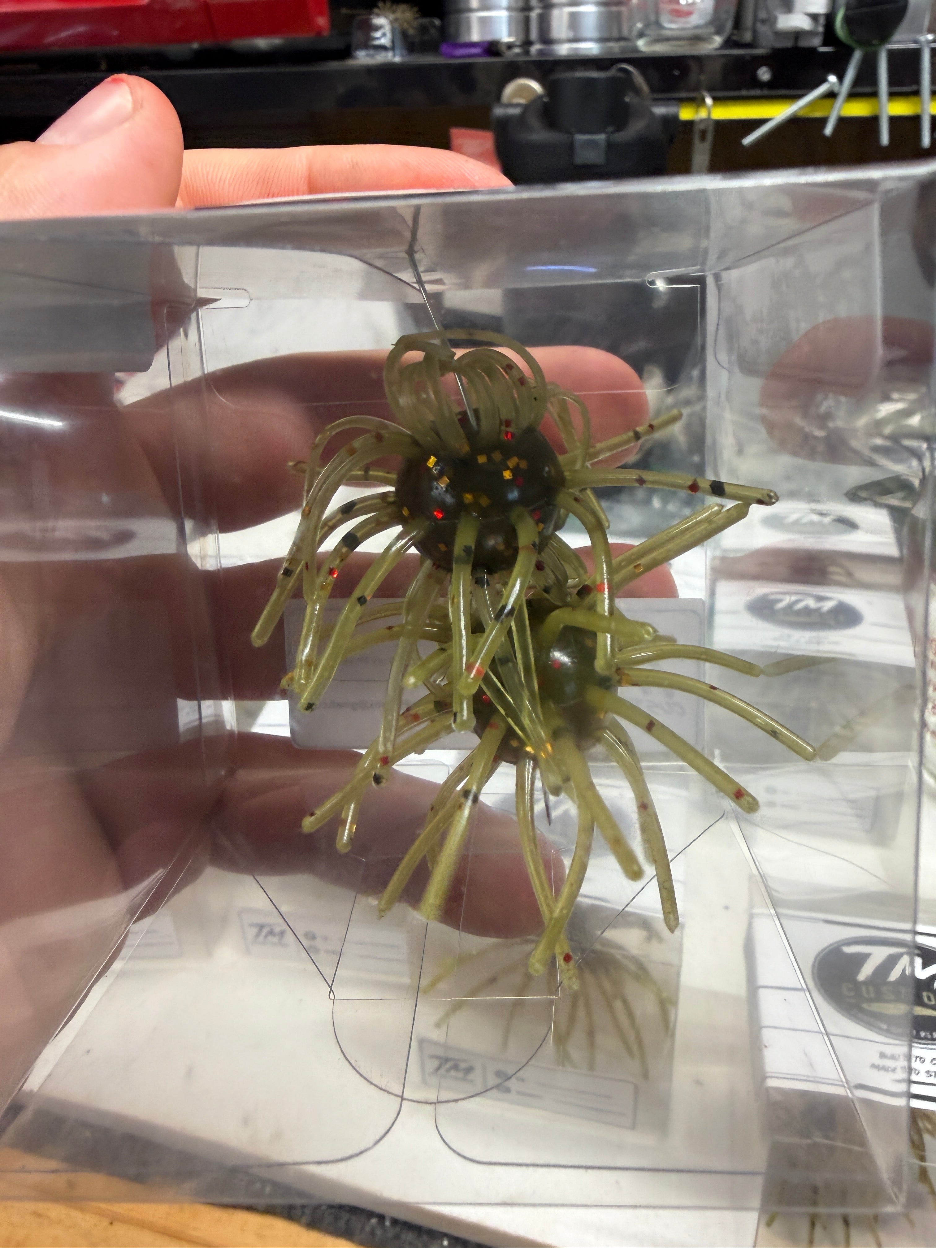 Green Pumpkin Red Flake Urchin