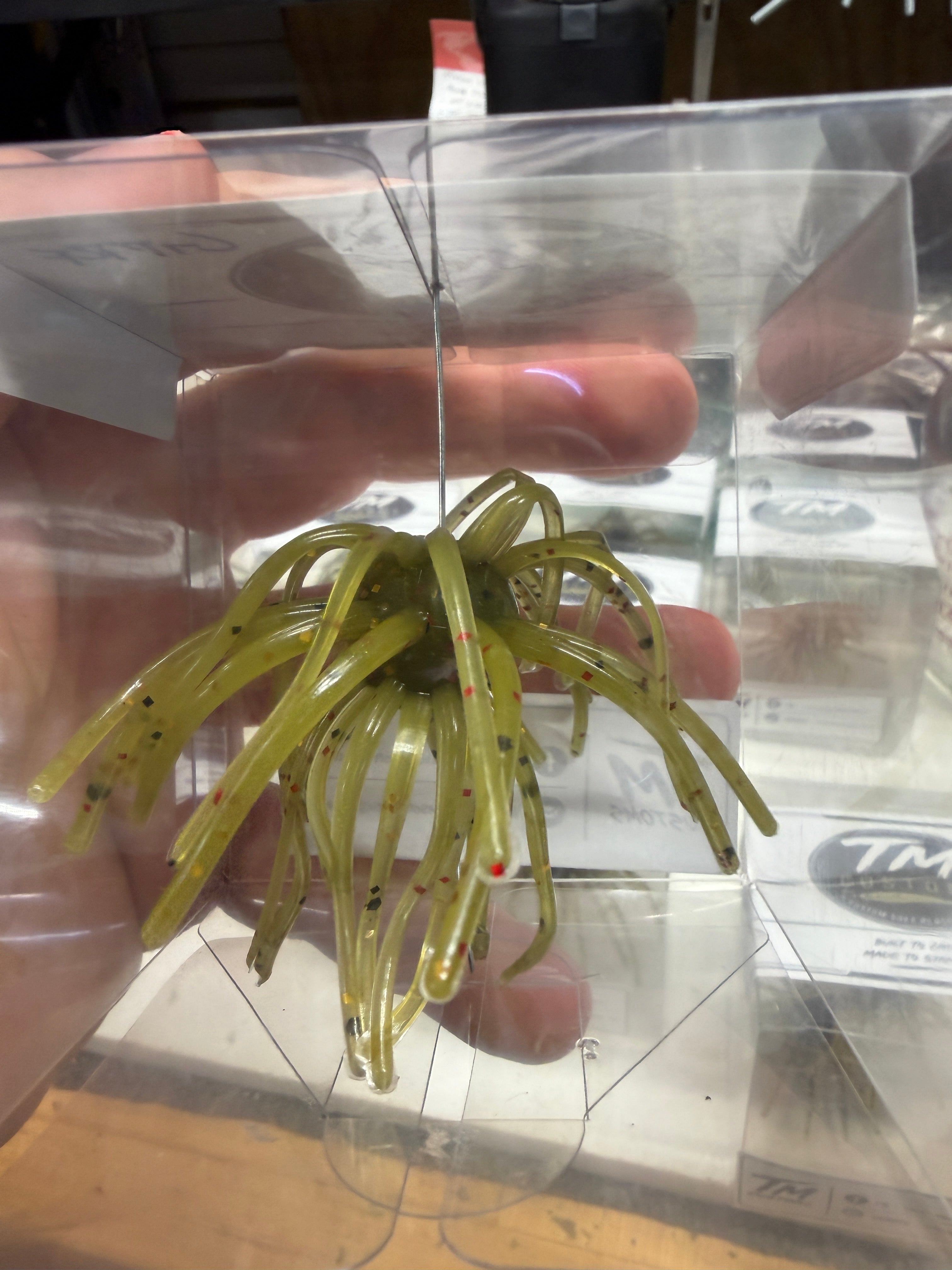 Green Pumpkin Red Flake Urchin