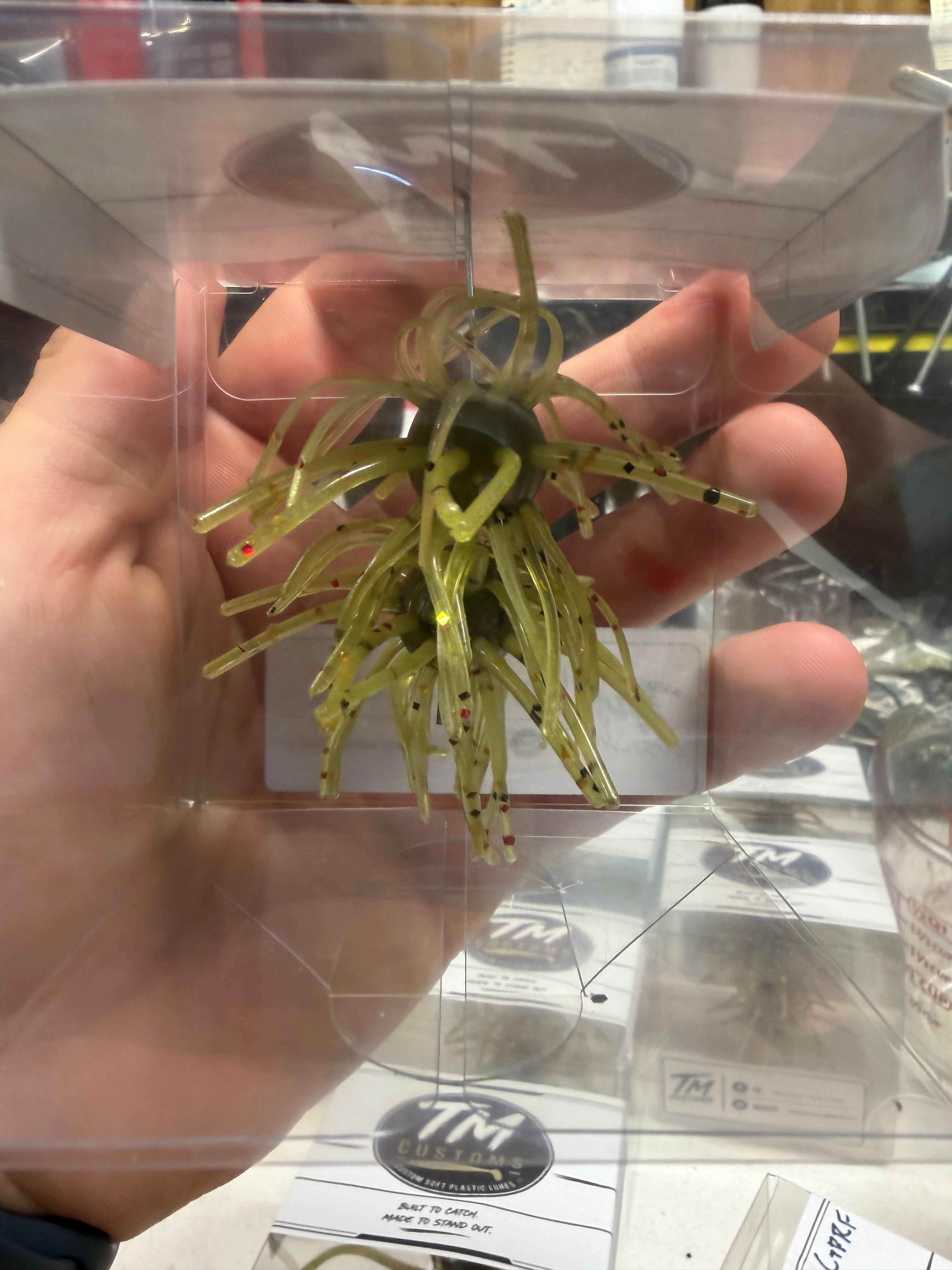 Green Pumpkin Red Flake Urchin