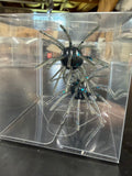 Black &amp; Blue Flake Urchin