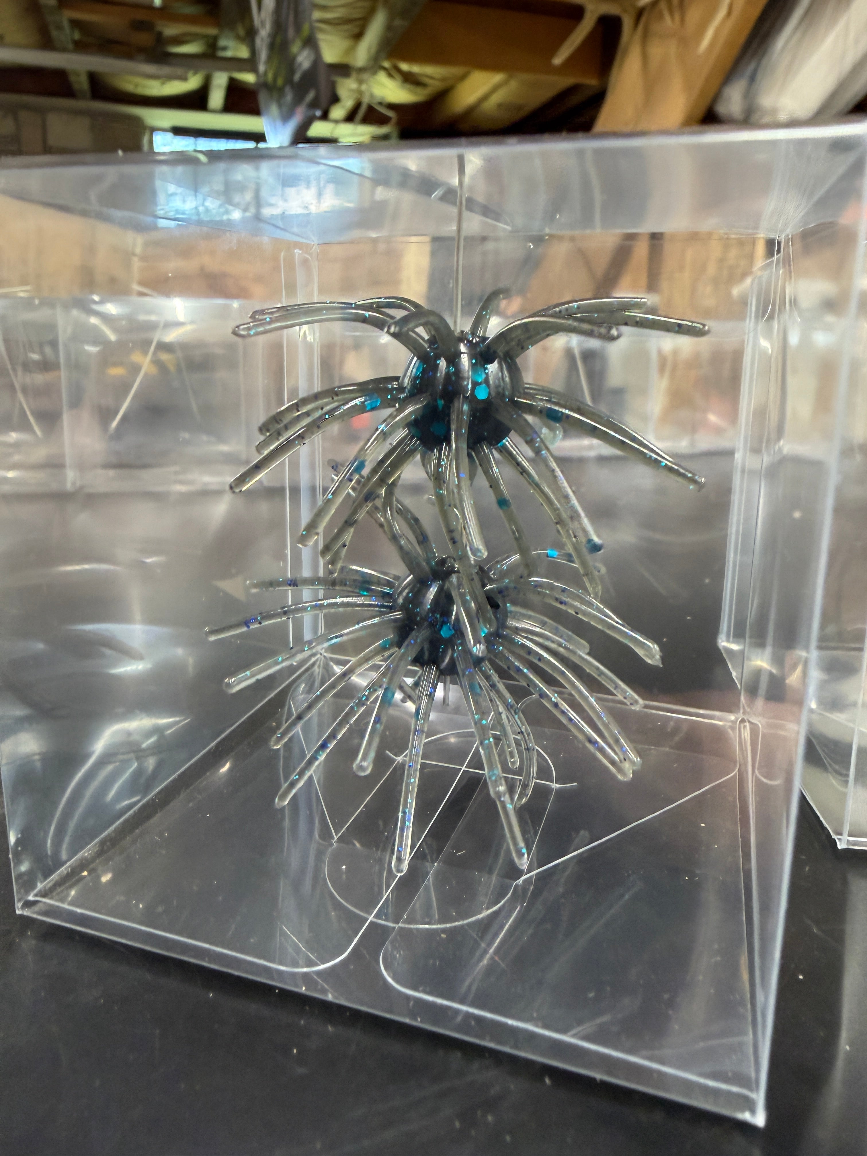 Black &amp; Blue Flake Urchin