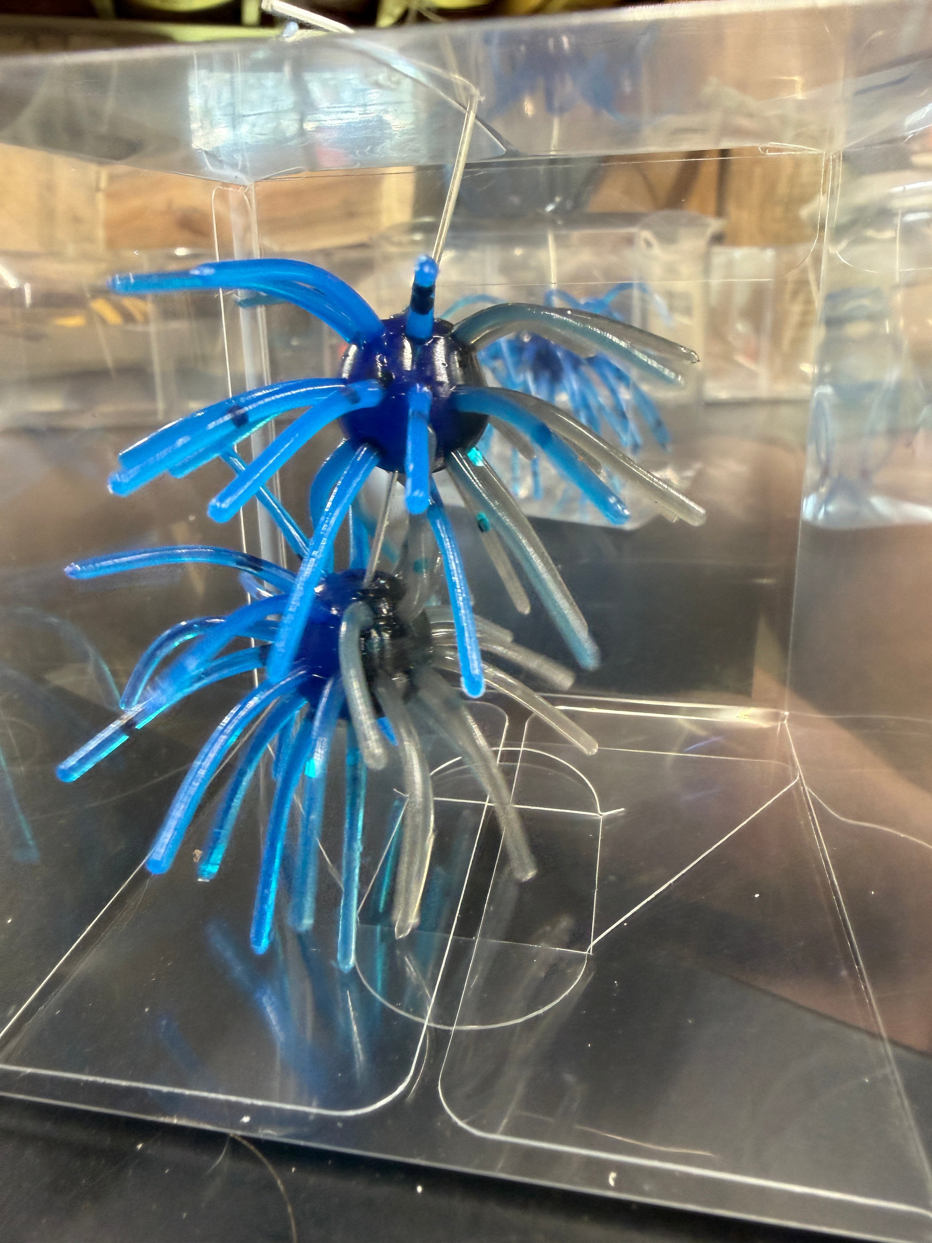 Black &amp; Blue Laminate Urchin