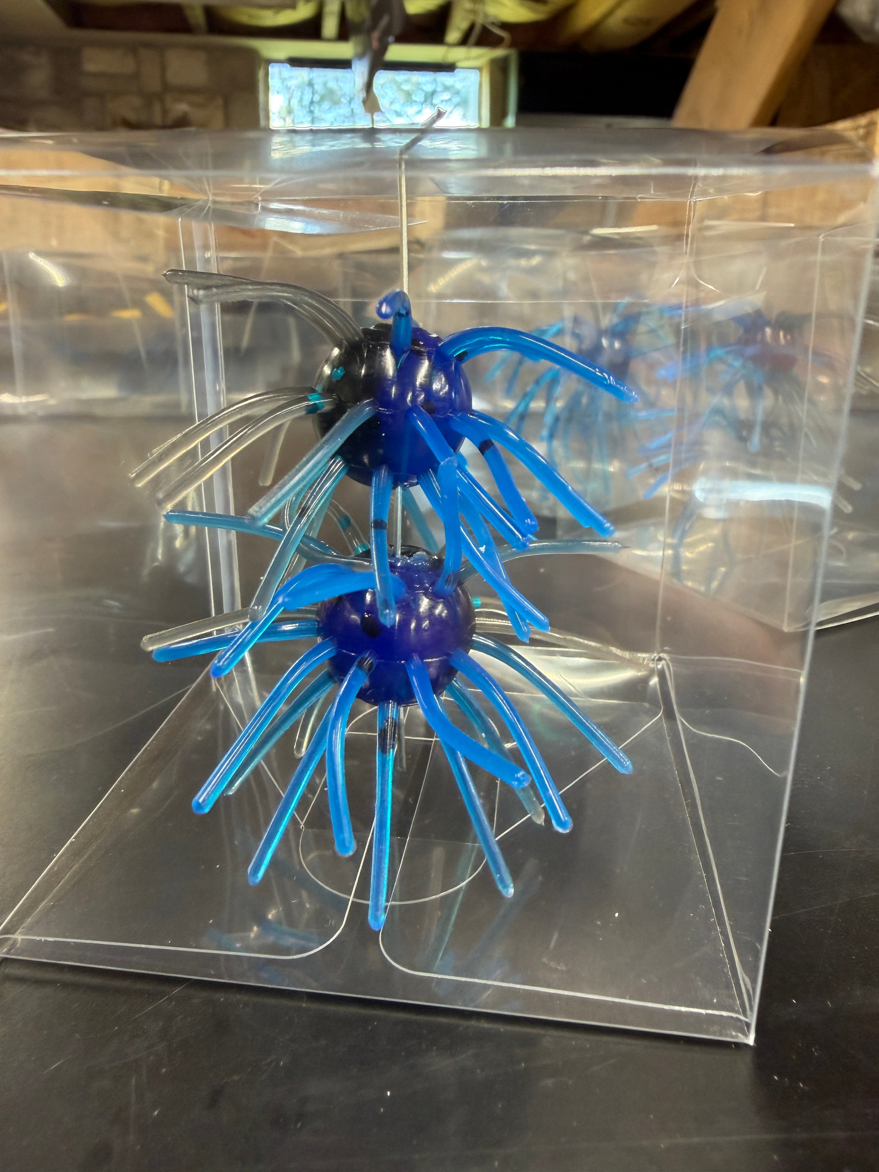 Black &amp; Blue Laminate Urchin