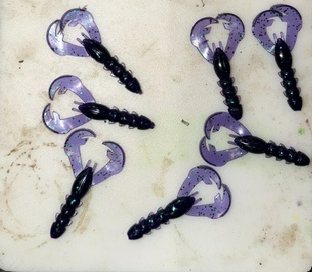 Crazy Craw 3" – June Bug