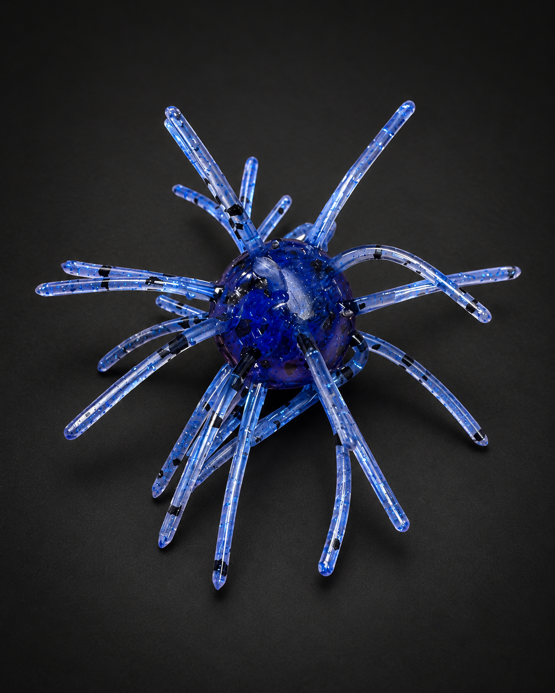 Candy Blue Urchin