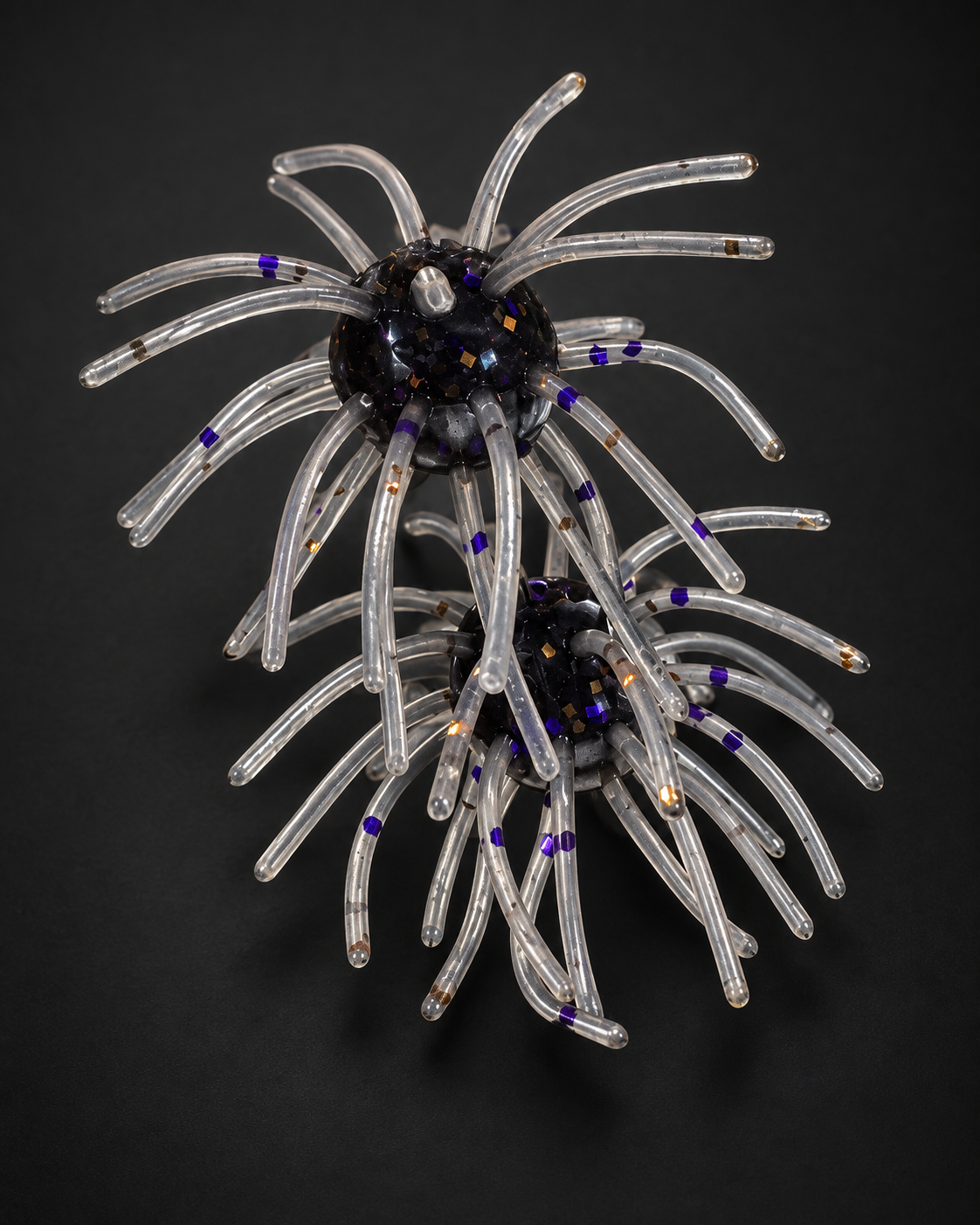Purple Smoke Urchin