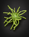 Booger – Urchin Bait