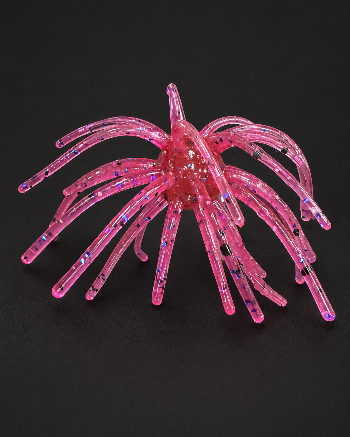 Dragon Fruit Urchin