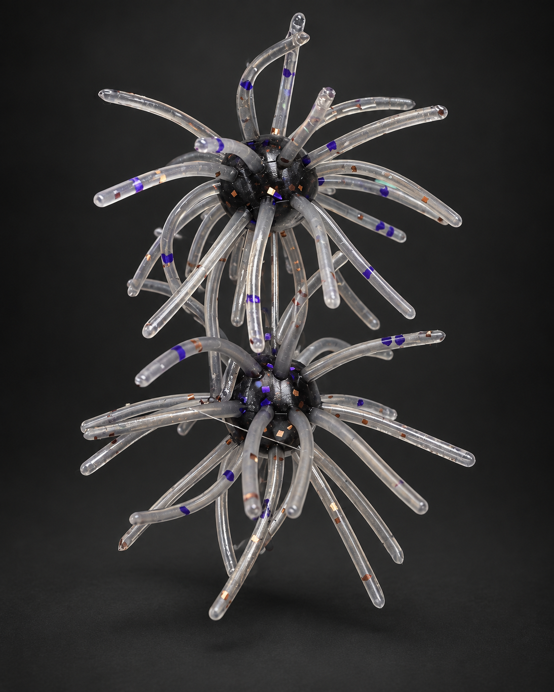 Purple Smoke Urchin