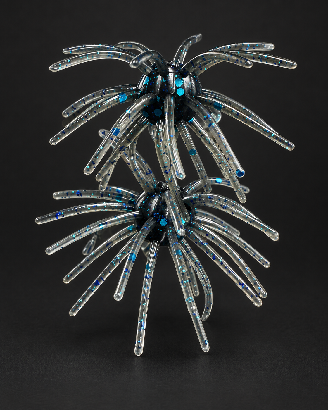 Black & Blue Flake Urchin