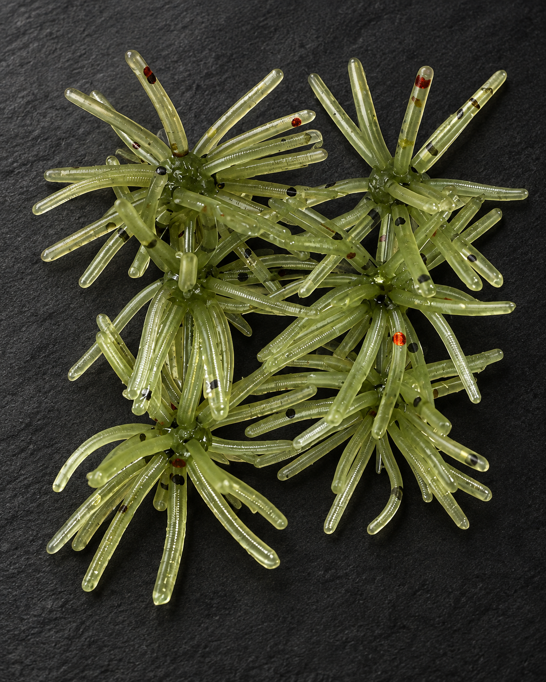 Mini Urchin GPRF