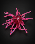 Dragon Fruit Urchin