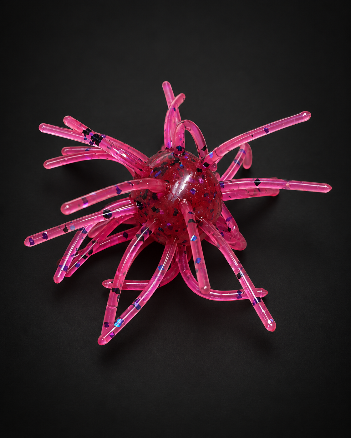 Dragon Fruit Urchin