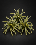 Watermelon Gold Flake Urchin