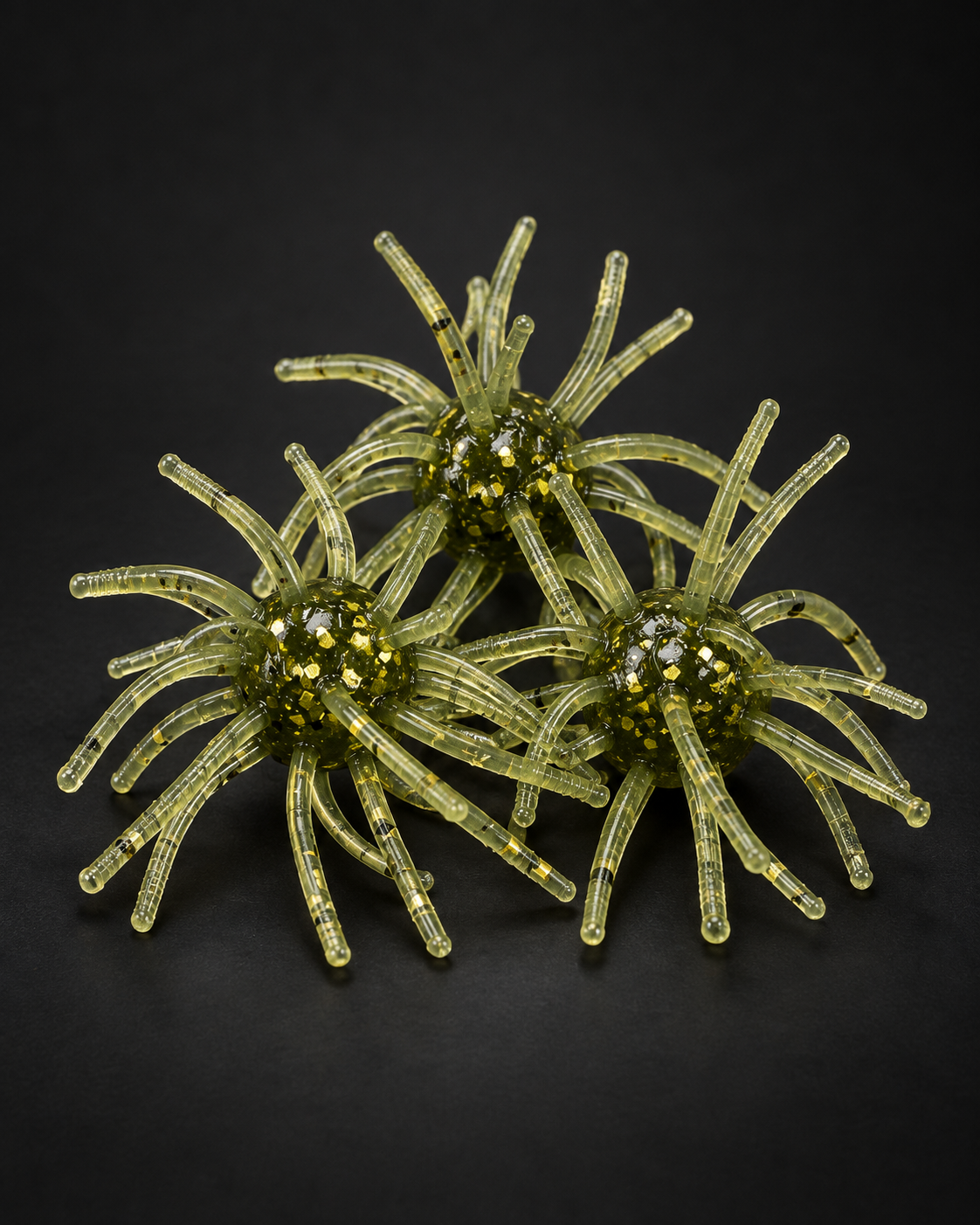 Watermelon Gold Flake Urchin