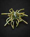 Spoiled Avocado Urchin