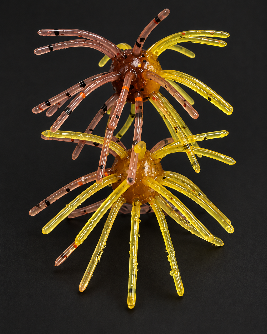 Sunfish 2-Tone Urchin