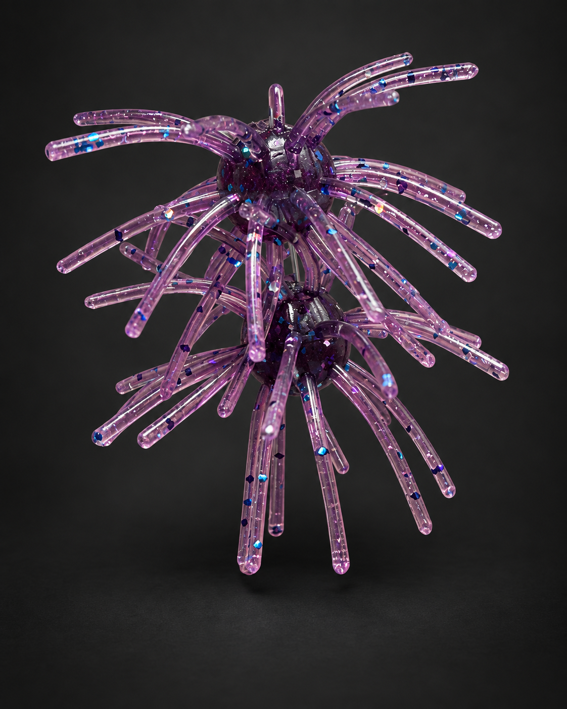 Purple Disco Urchin