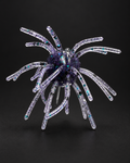 Bad Grape Urchin
