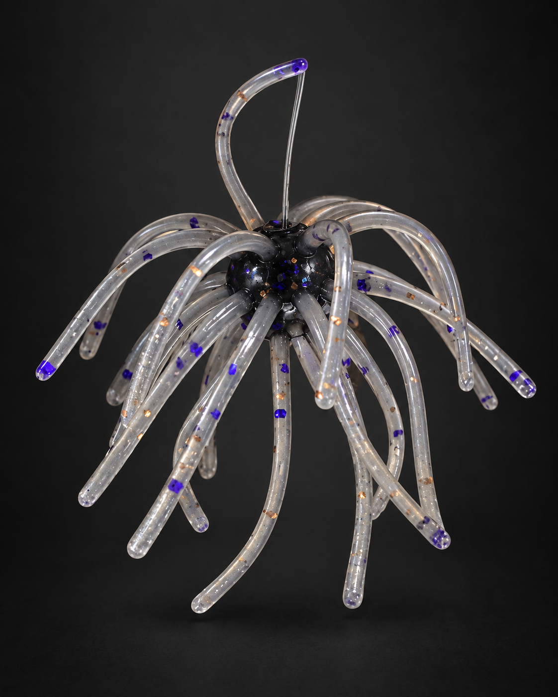 Purple Smoke Urchin