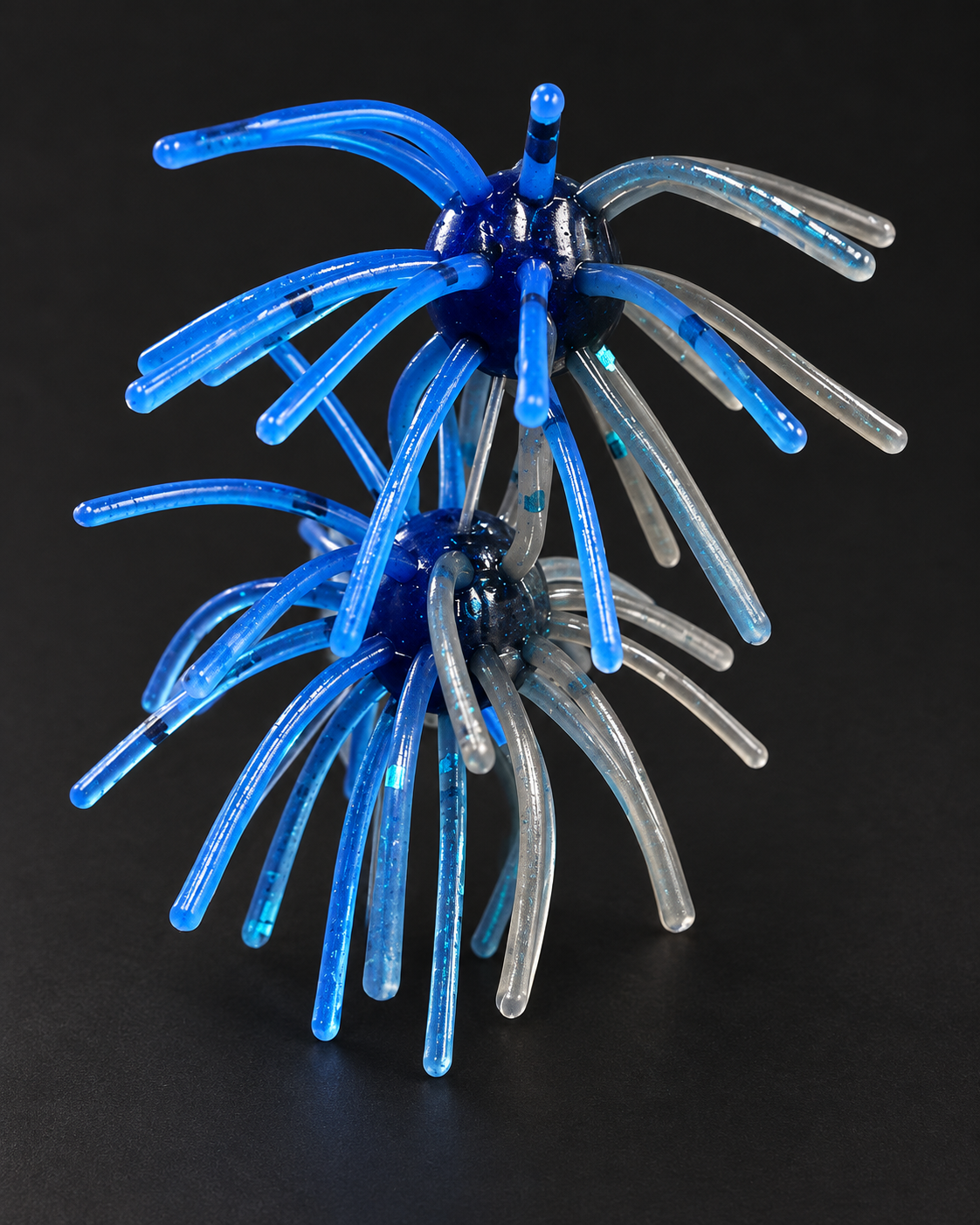 Black and Blue Laminate Urchin