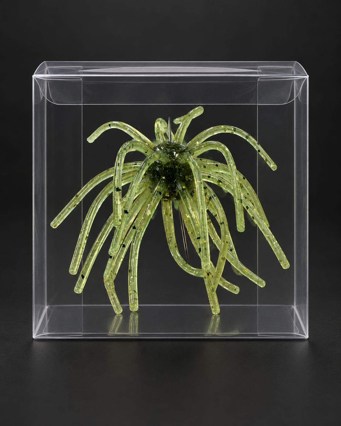 Watermelon Gold Flake Urchin