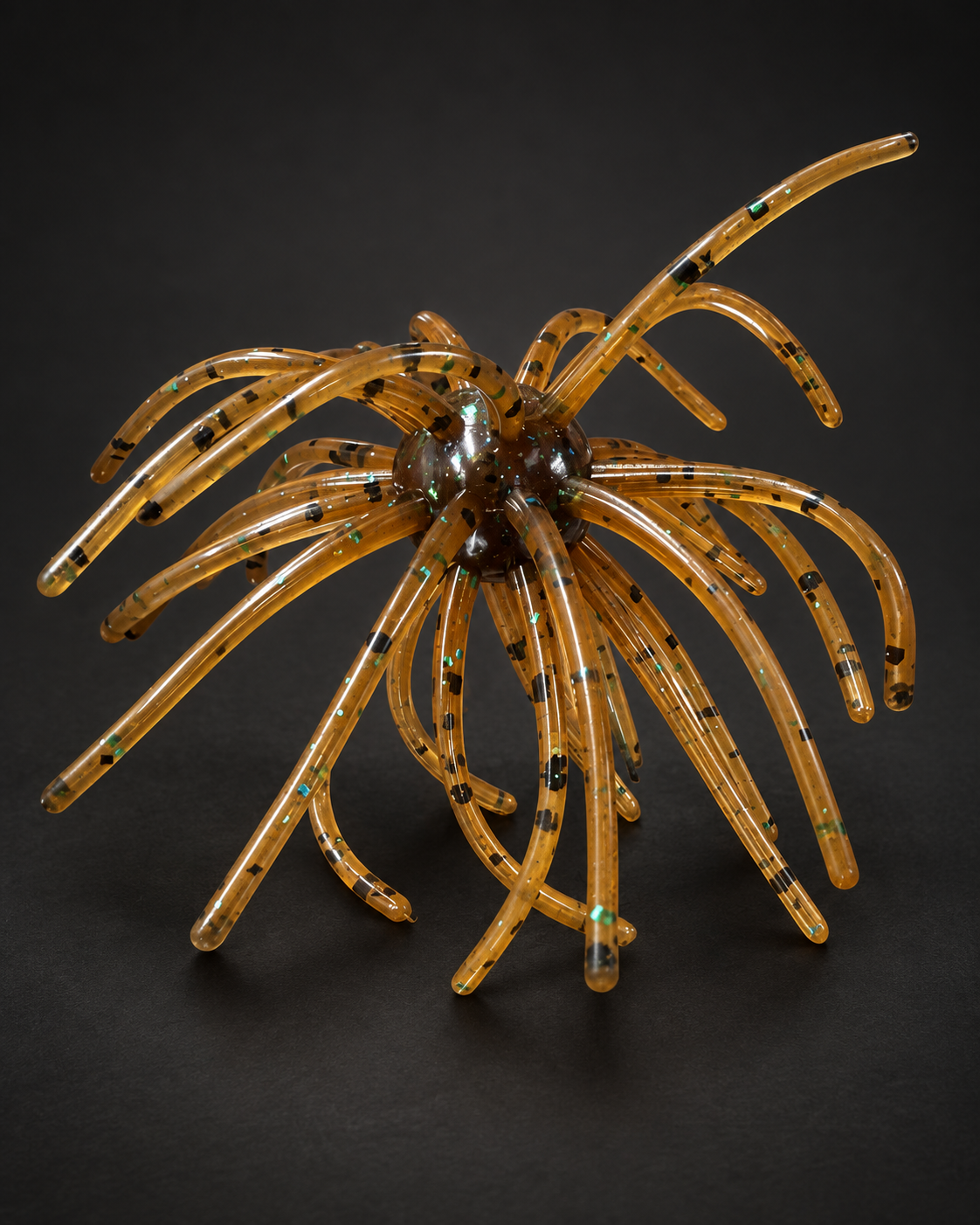 Pumpkin Seed Urchin