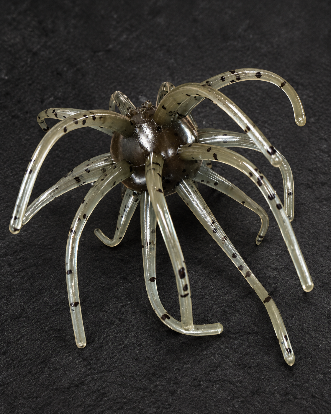 Blue Craw Urchin