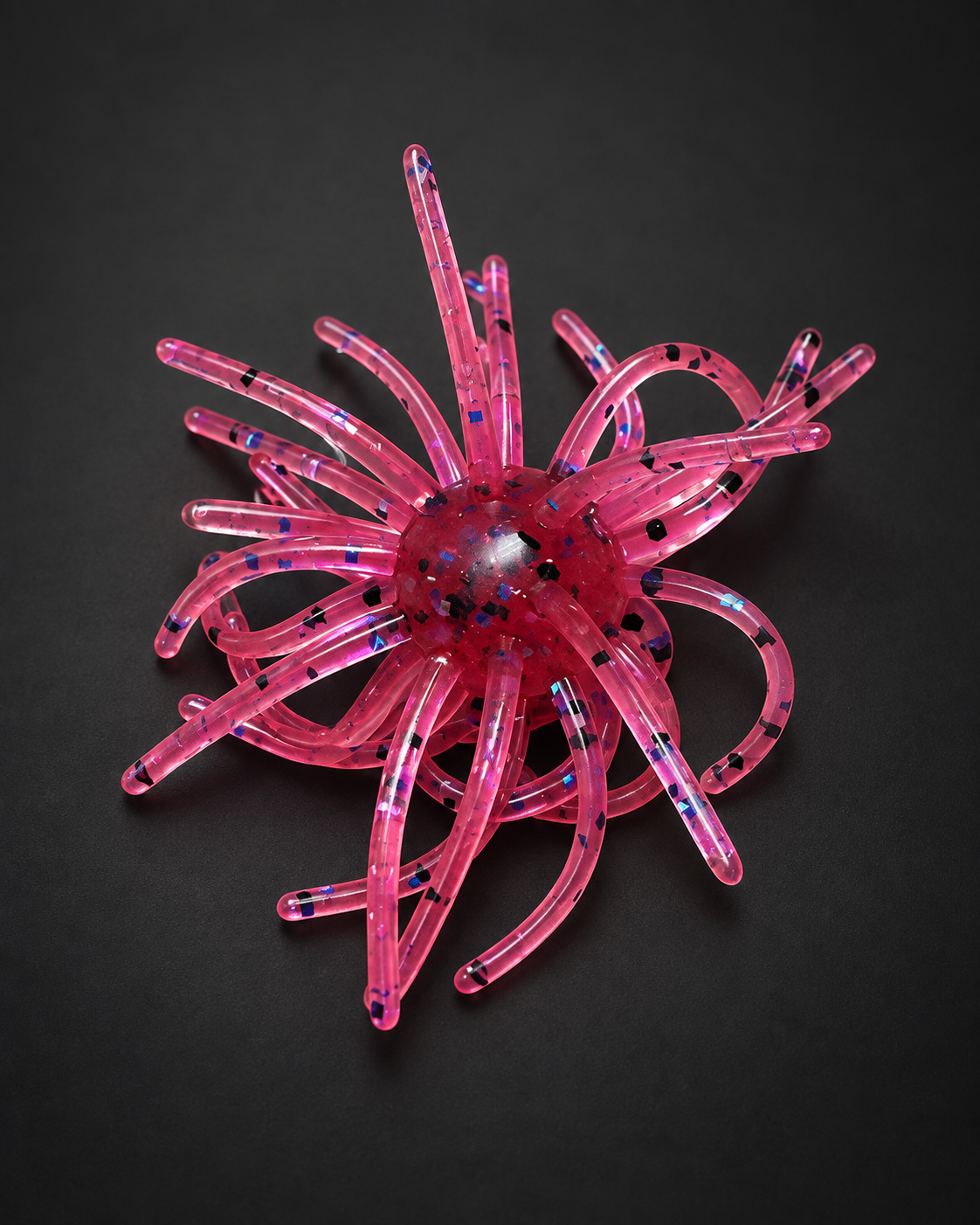 Dragon Fruit Urchin