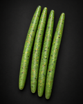 Perch Stick Bait