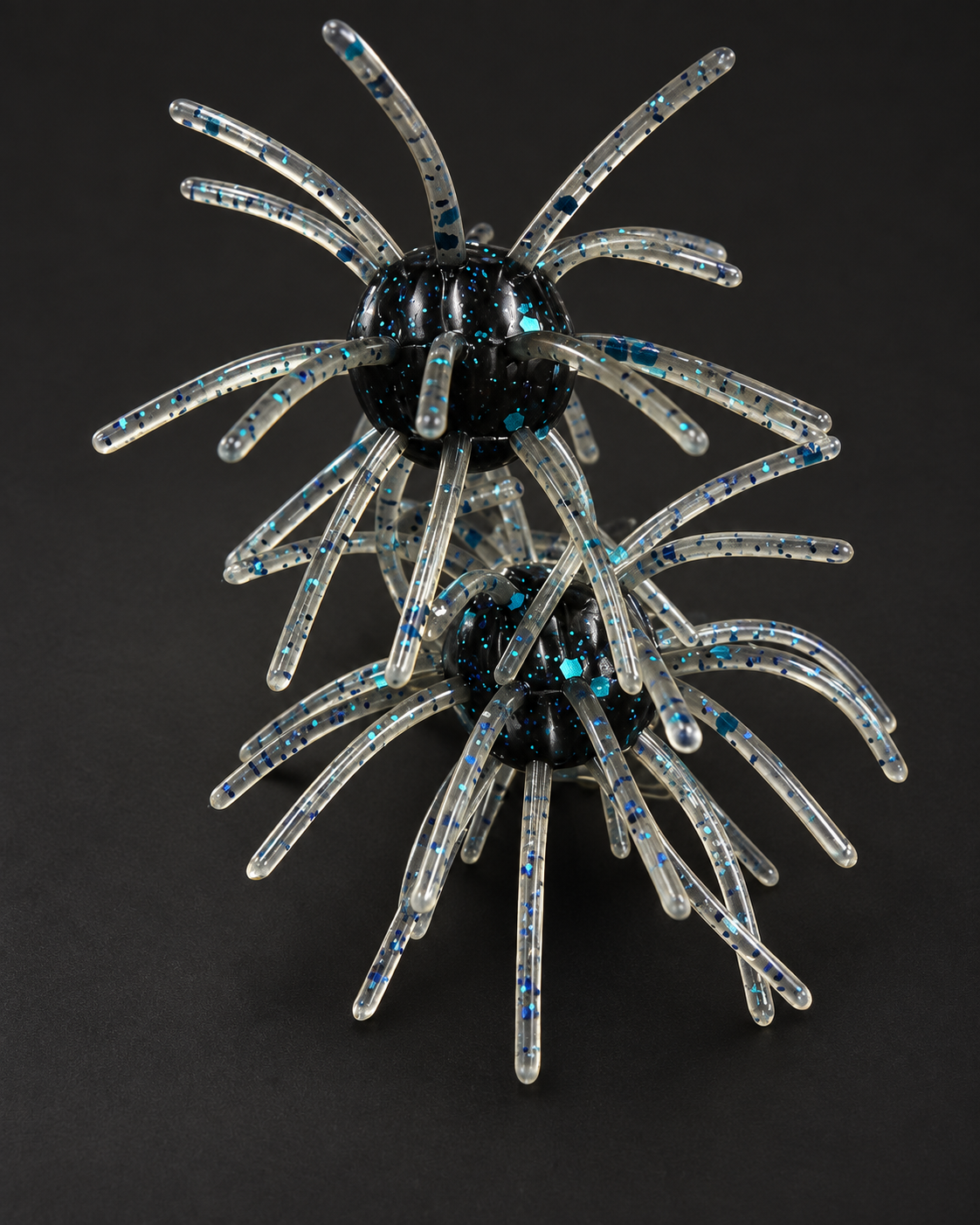 Black & Blue Flake Urchin