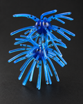 Blue Urchin