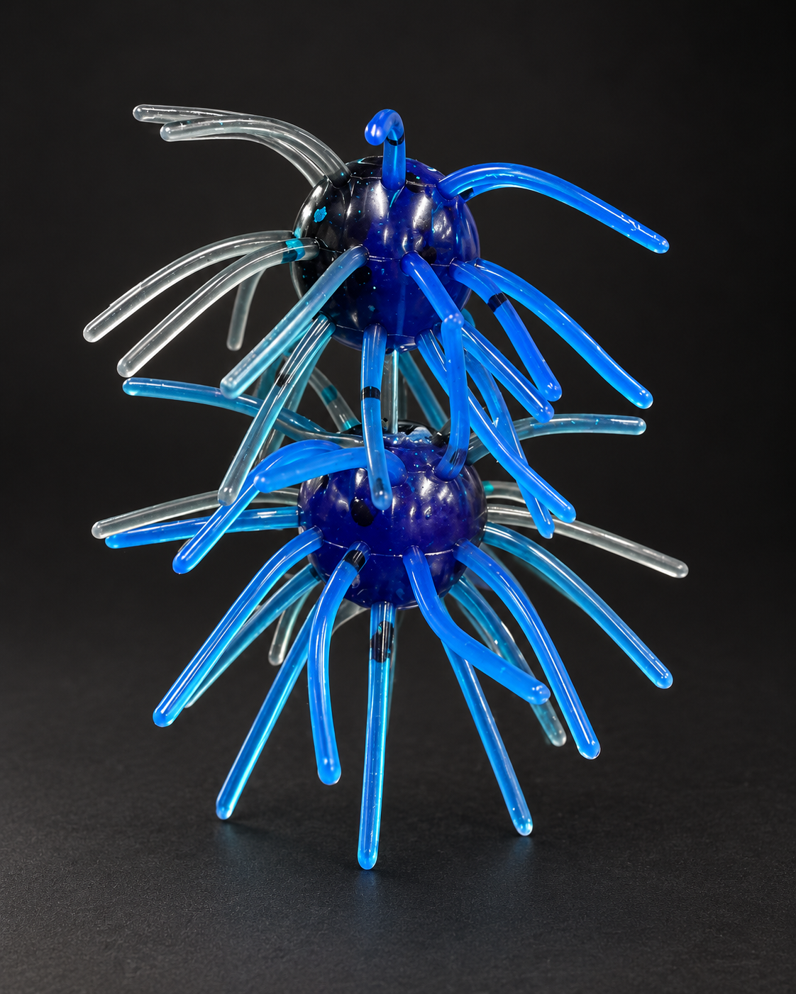 Black and Blue Laminate Urchin