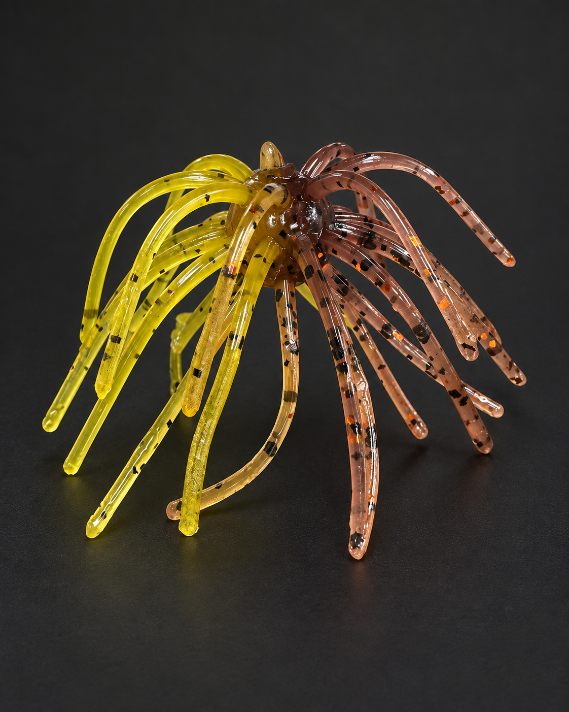 Sunfish 2-Tone Urchin