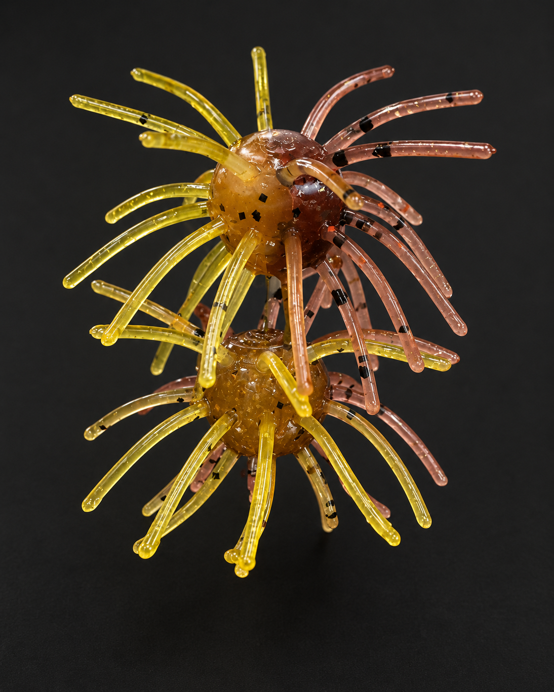 Sunfish 2-Tone Urchin