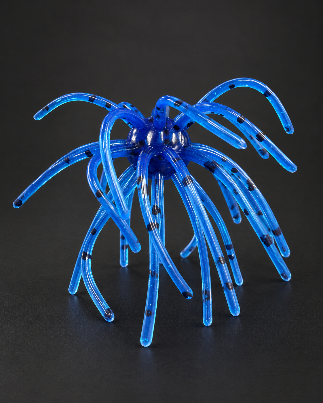 Blue Urchin