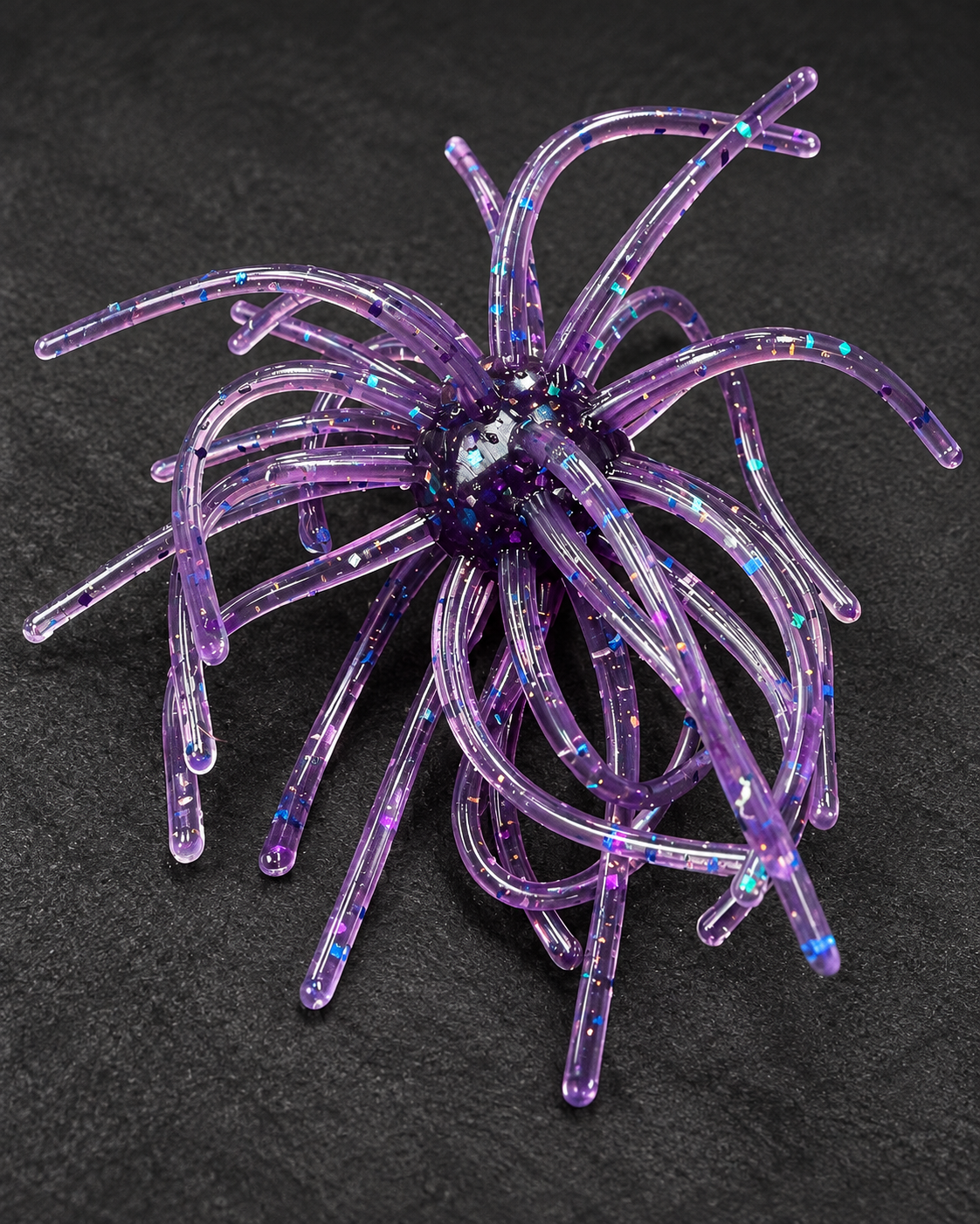 Purple Disco Urchin