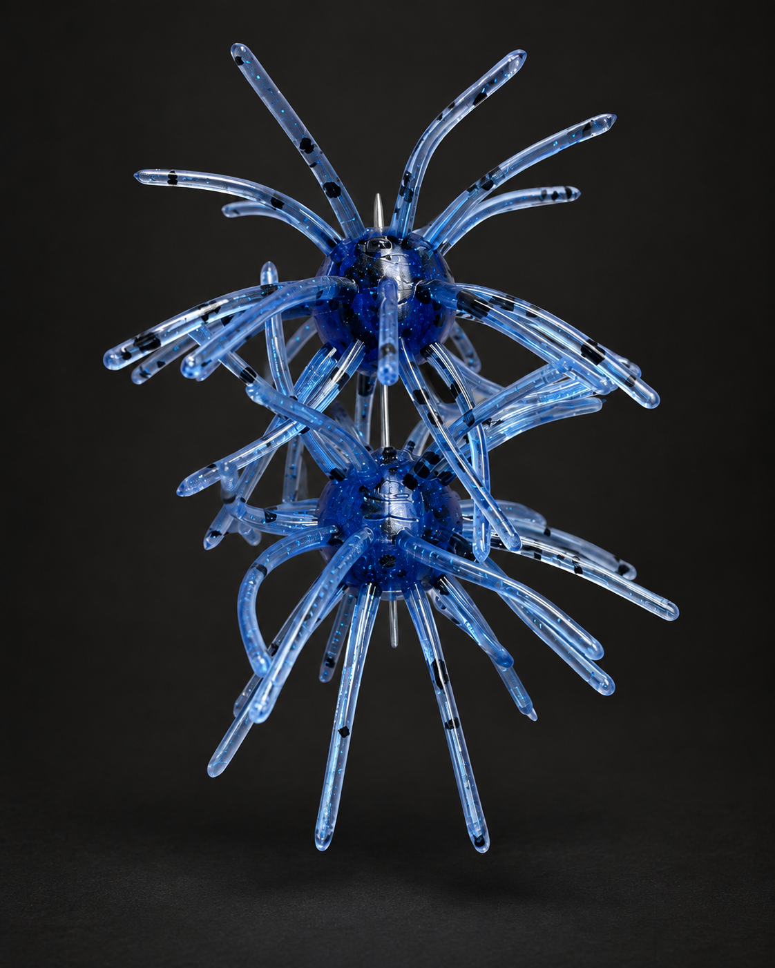 Candy Blue Urchin