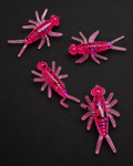 Dragonfruit Mini Cricket